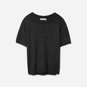 Everlane Alpaca Sweater Tee